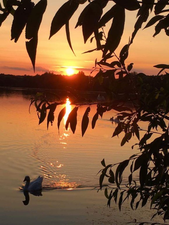 Evening Lake