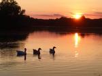 Image: Evening Lake 2